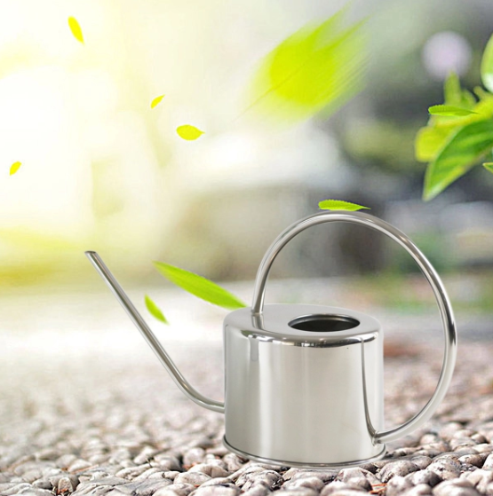 &quot;The Evergreen&quot; Stainless Steel Watering Can