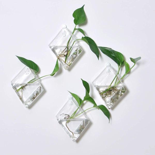 
                  3 Methods of Proper Propagation Based on Plant Type
                