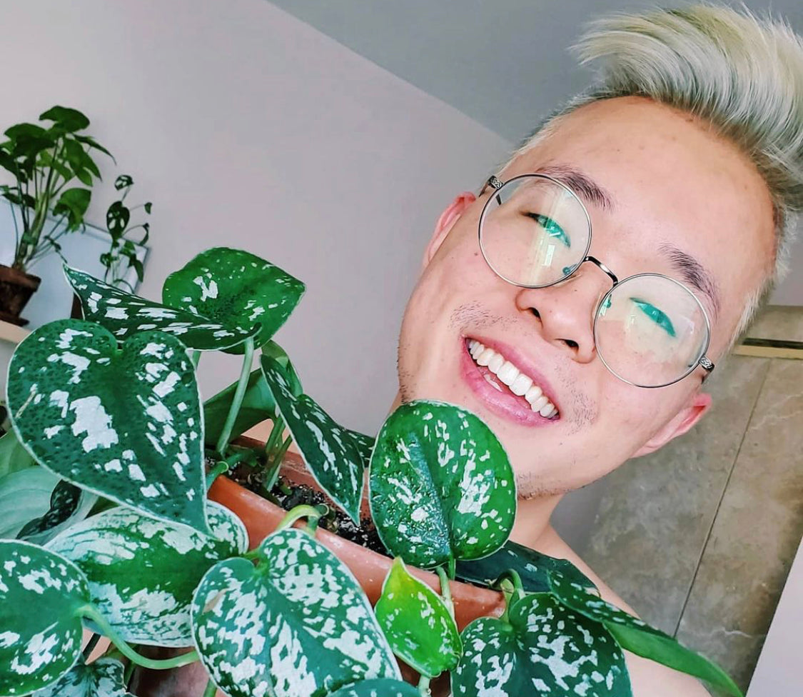 
                  Tips for Taking Care of 100+ Plants in a Small Space
                