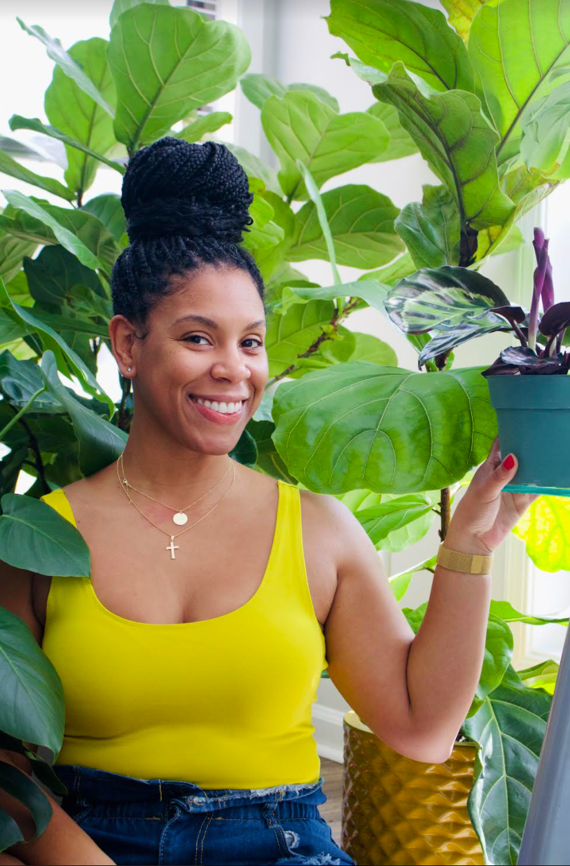 
                  How to Rehab a Sick or Dying Houseplant
                