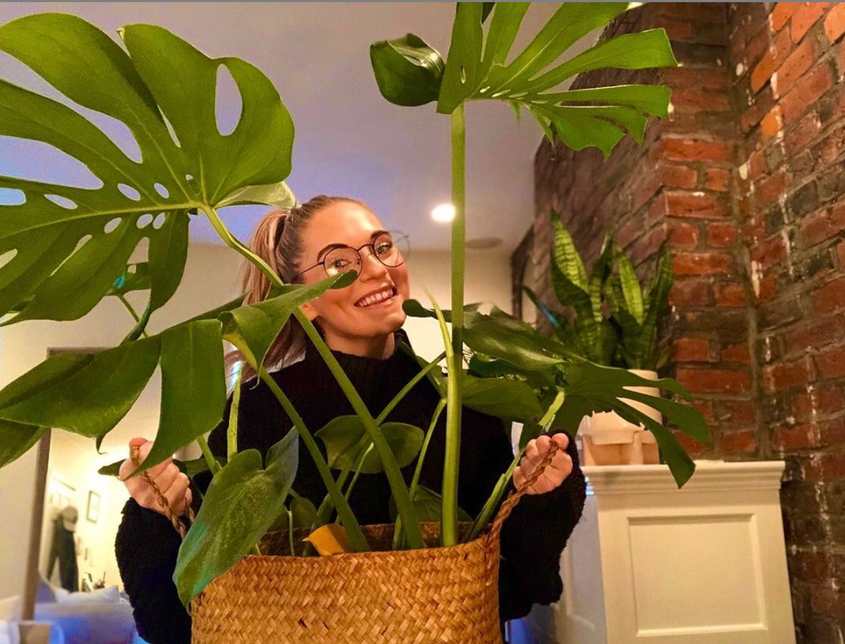 Essential Plant Care Routines for Houseplants