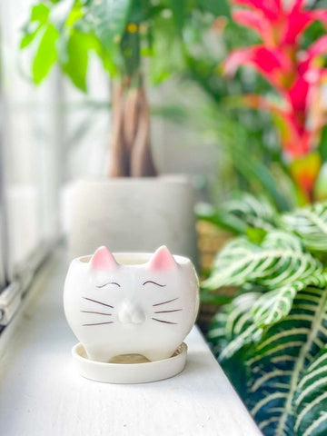 "The Cute Cat" Ceramic Planter & Saucer
