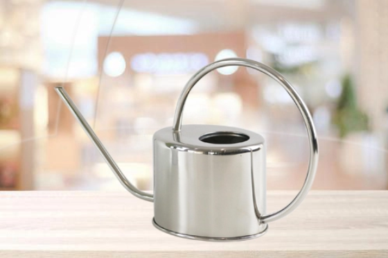 &quot;The Evergreen&quot; Stainless Steel Watering Can