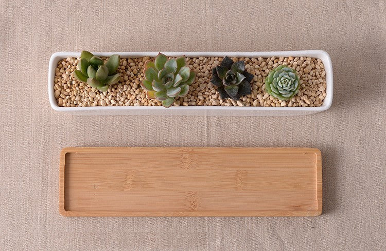 &quot;The Peninsula&quot; Ceramic Succulent Window Station &amp; Bamboo Dish