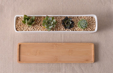 "The Peninsula" Ceramic Succulent Window Station & Bamboo Dish