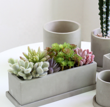 "The Concrete Jungle" Windowsill Cement Planter & Dish