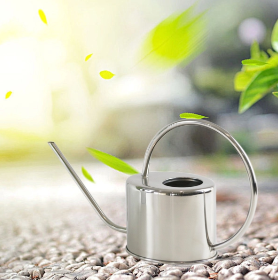 &quot;The Fountain of Youth&quot; Watering Can &amp; Mister Set