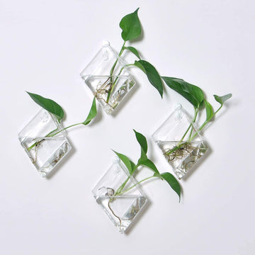 "The Diamond" Propagation Vessel Wall Mount