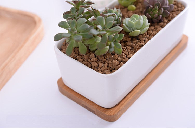 &quot;The Cove&quot; Ceramic Planter &amp; Bamboo Dish