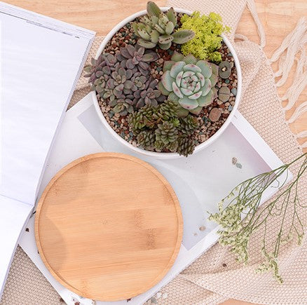 &quot;The Island&quot; Round Ceramic Planter &amp; Bamboo Dish
