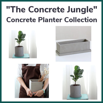 "The Concrete Jungle" Concrete Planter Collection