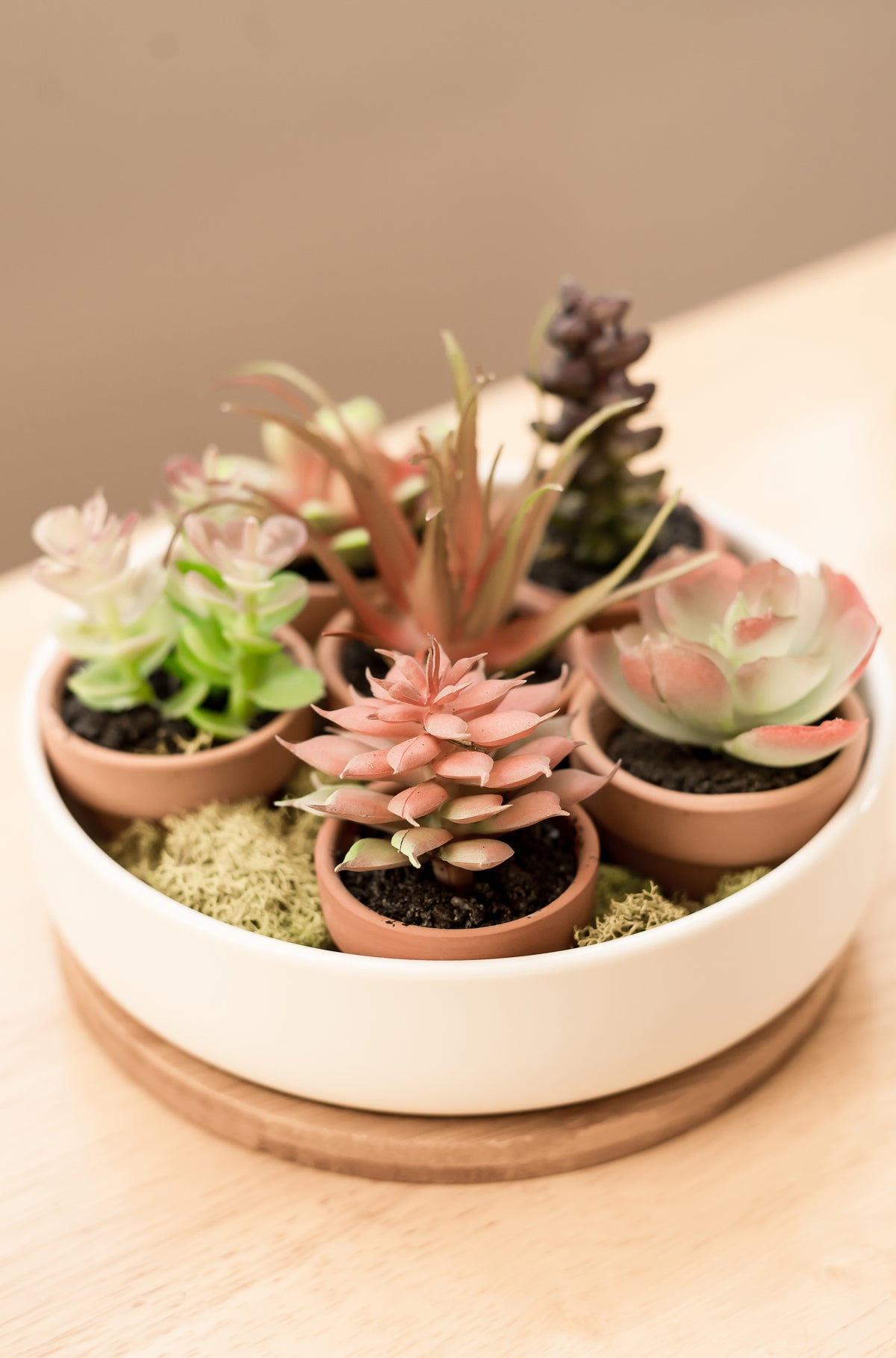&quot;The Island&quot; Round Ceramic Planter &amp; Bamboo Dish