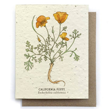 California Poppy Greeting Cards - Plantable Seed Paper