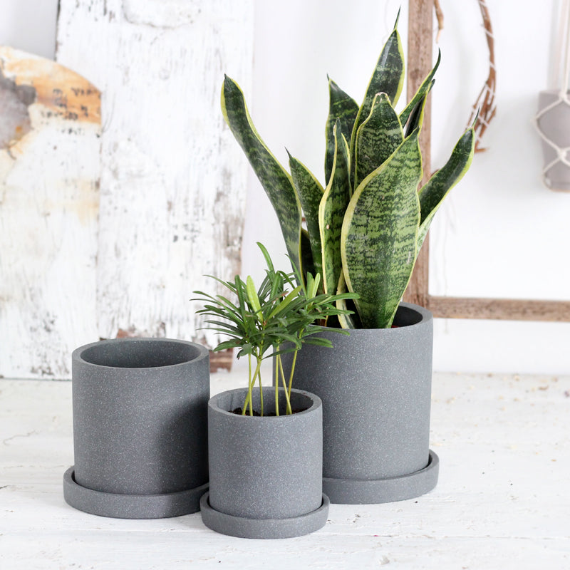 &quot;The Concrete Jungle&quot; Cylinder Planter &amp; Dish