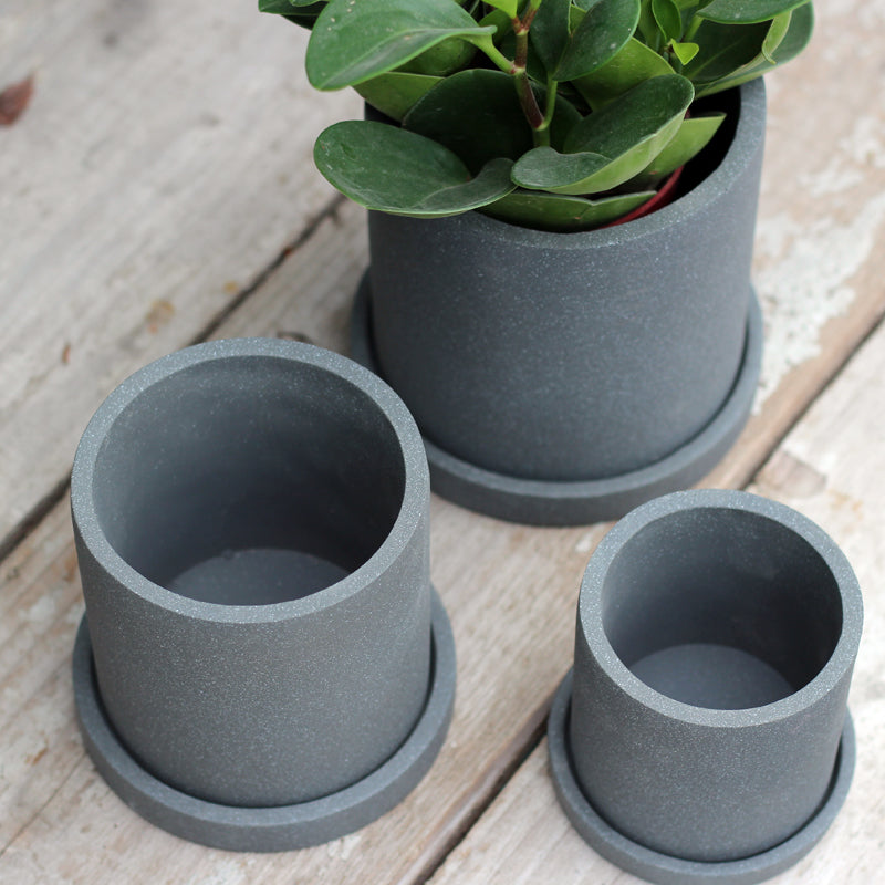 &quot;The Concrete Jungle&quot; Cylinder Planter &amp; Dish