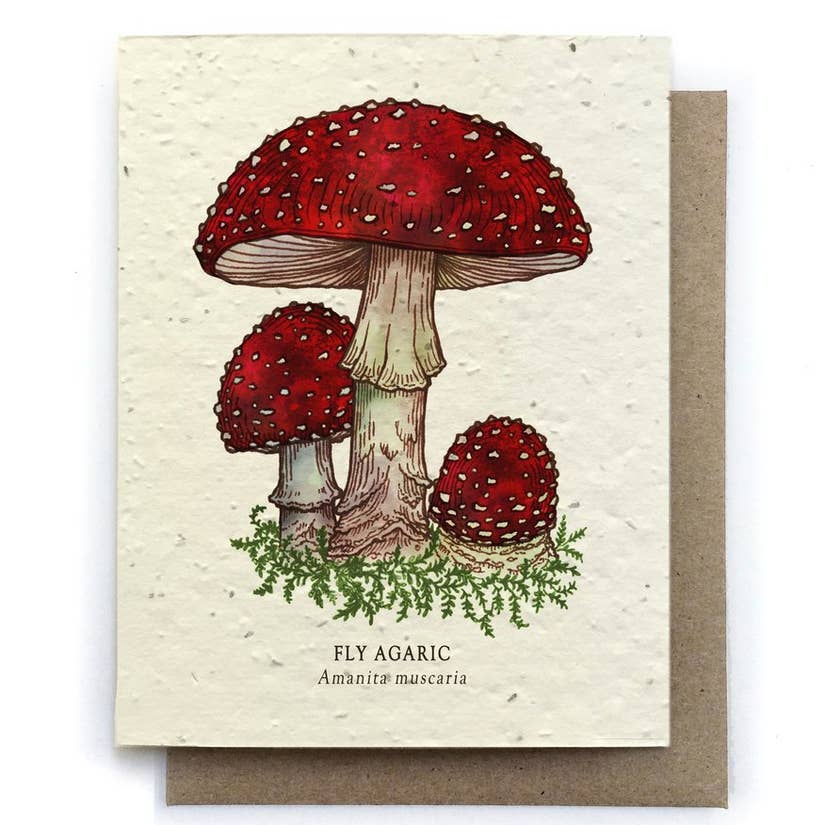 Fly Agaric Mushroom Greeting Cards - Plantable Seed Paper