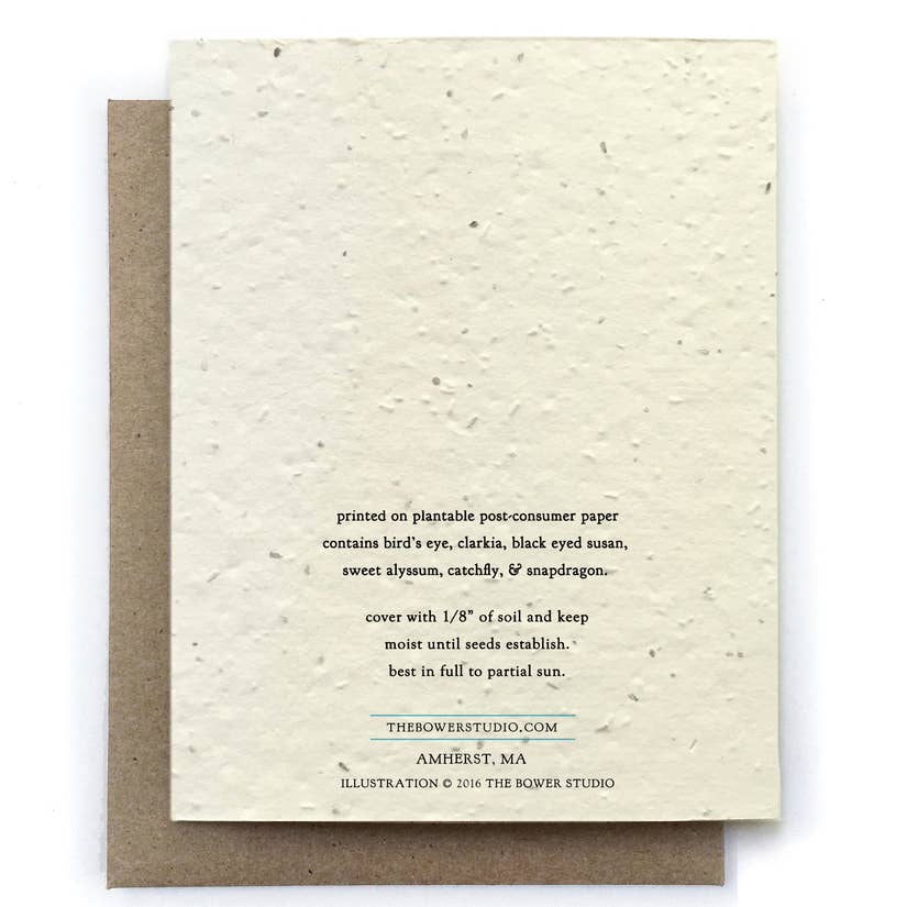 Fly Agaric Mushroom Greeting Cards - Plantable Seed Paper
