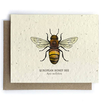 Honey Bee Greeting Cards - Plantable Seed Paper
