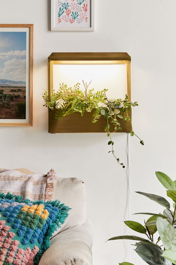 Brass Growhouse V2 - Smart, Plantable