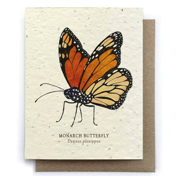 Monarch Butterfly Greeting Cards - Plantable Seed Paper