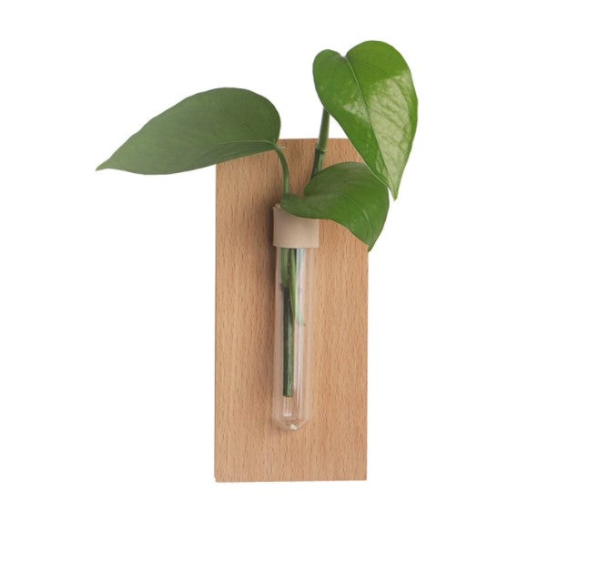 &quot;The Greenhouse&quot; Set of 2 Wooden Wall Propagation Vessels