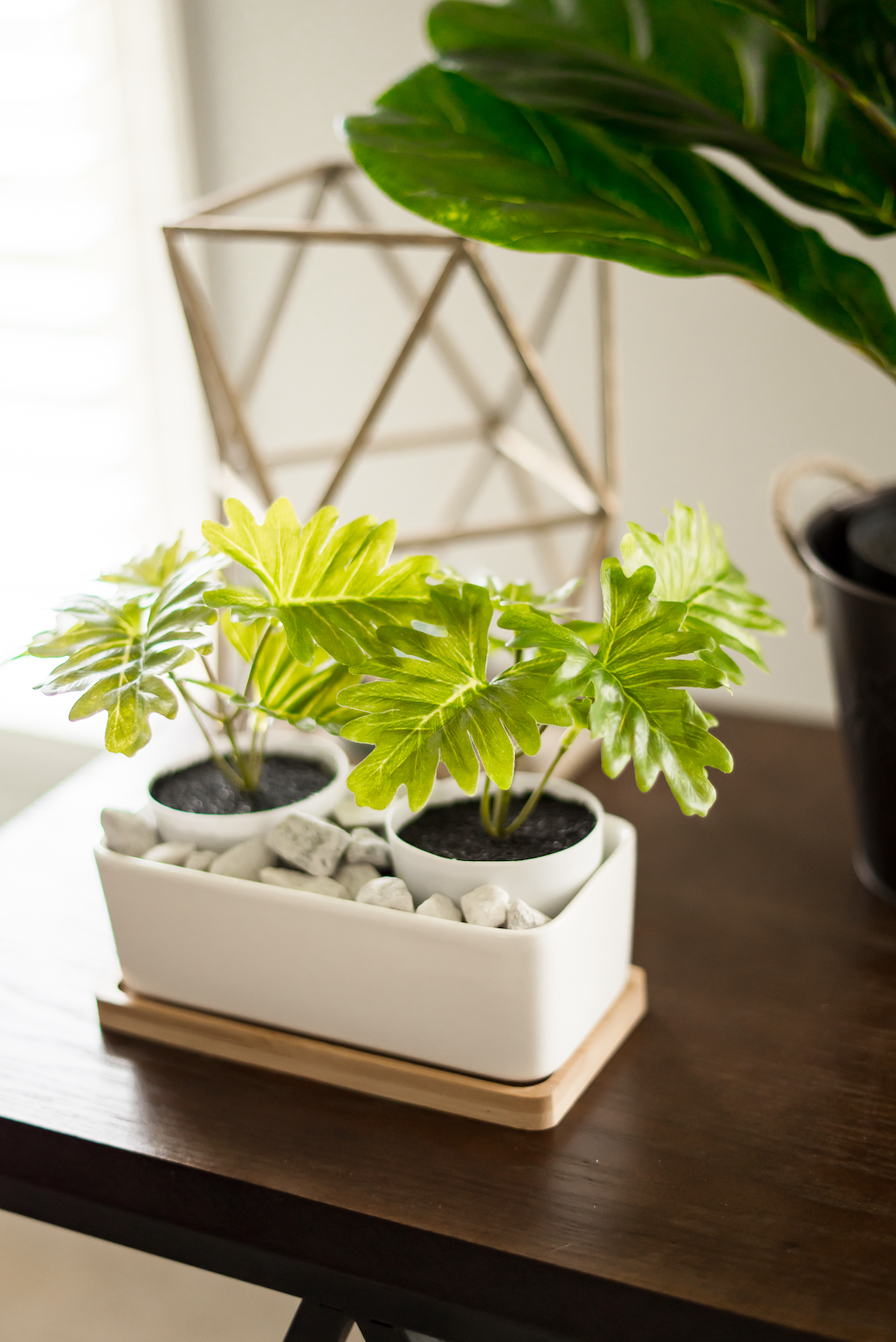 &quot;The Cove&quot; Ceramic Planter &amp; Bamboo Dish