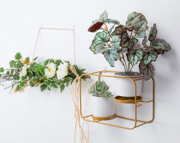 "The Double Decker" Wall Planter