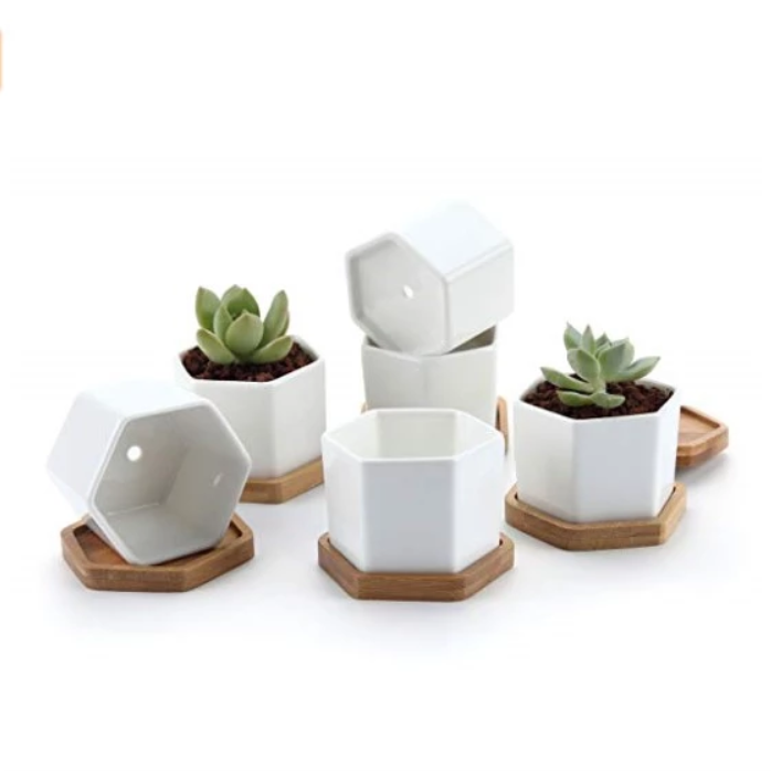 &quot;The Little Hexes&quot; Mini Planters Set of 3