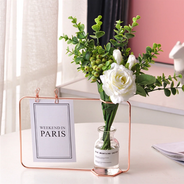 "The Desk Buddy" Card Display and Mini Propagation Vessel