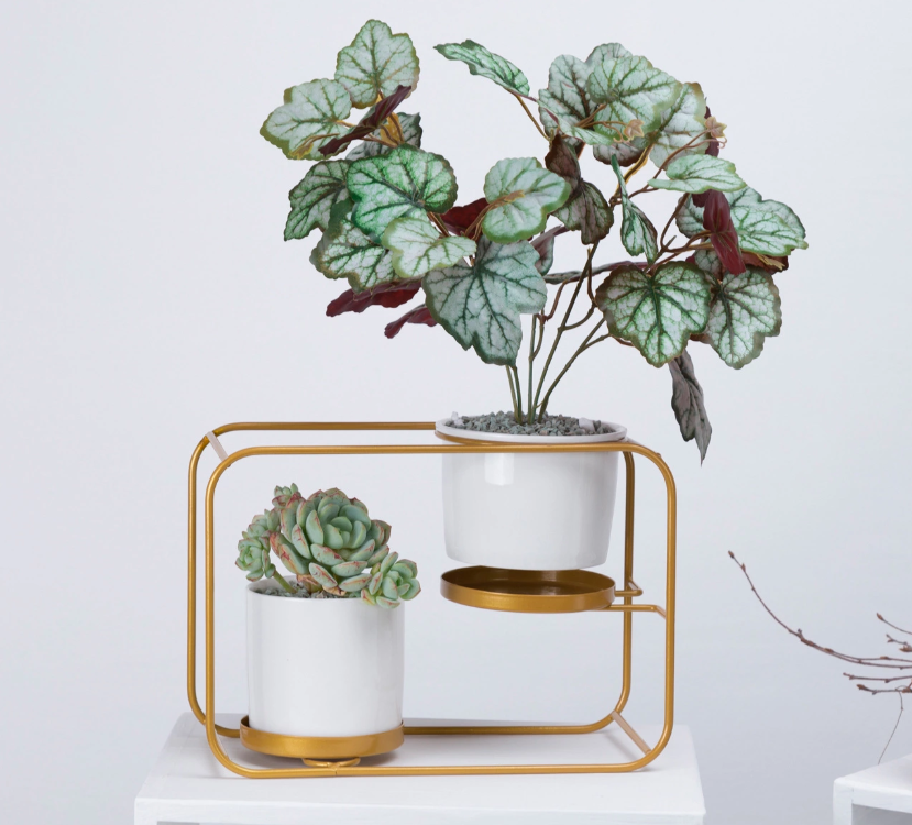 &quot;The Double Decker&quot; Wall Planter
