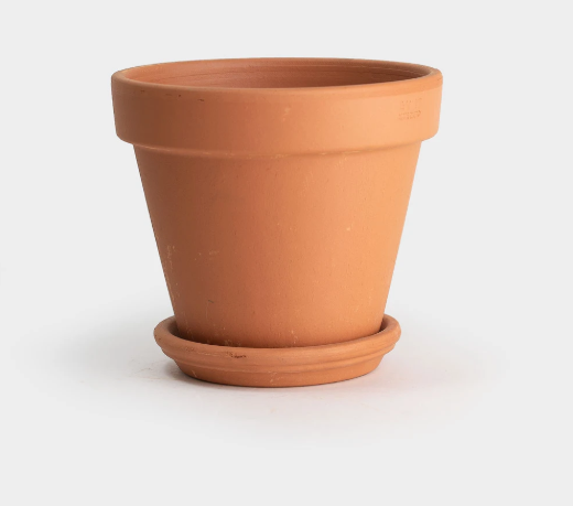 &quot;Clay Dreaming&quot; Terracotta Planter &amp; Dish