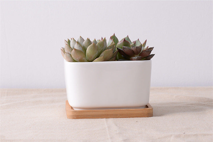 &quot;The Islet&quot; Square Ceramic Planter &amp; Bamboo Dish