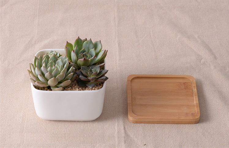 &quot;The Islet&quot; Square Ceramic Planter &amp; Bamboo Dish