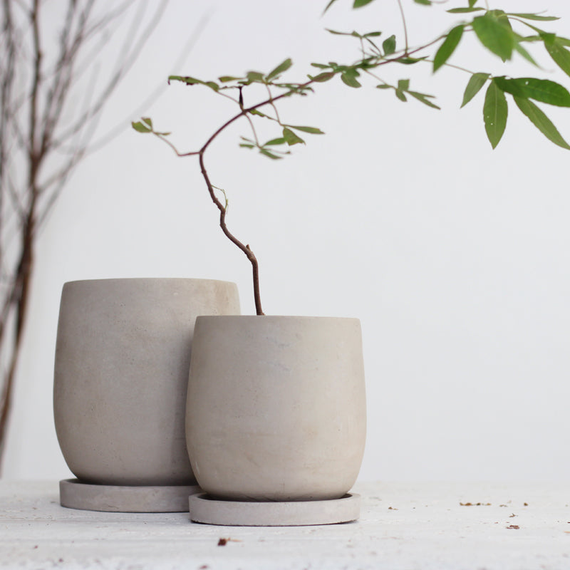 &quot;The Basin&quot; Cement Planter &amp; Dish