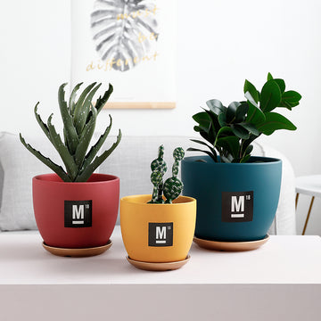 "The Coastline" Ceramic Planter & Dish