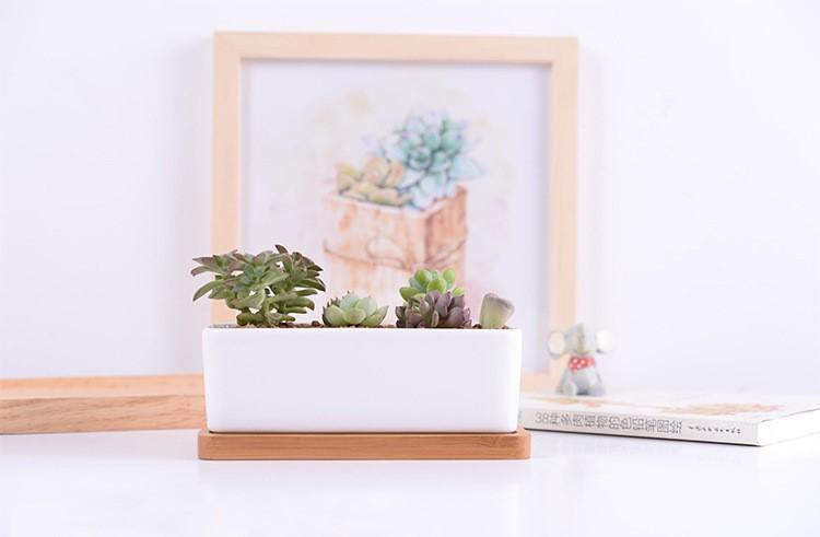 &quot;The Cove&quot; Ceramic Planter &amp; Bamboo Dish