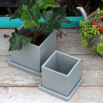 "The Concrete Jungle" Square Cement Planter & Dish