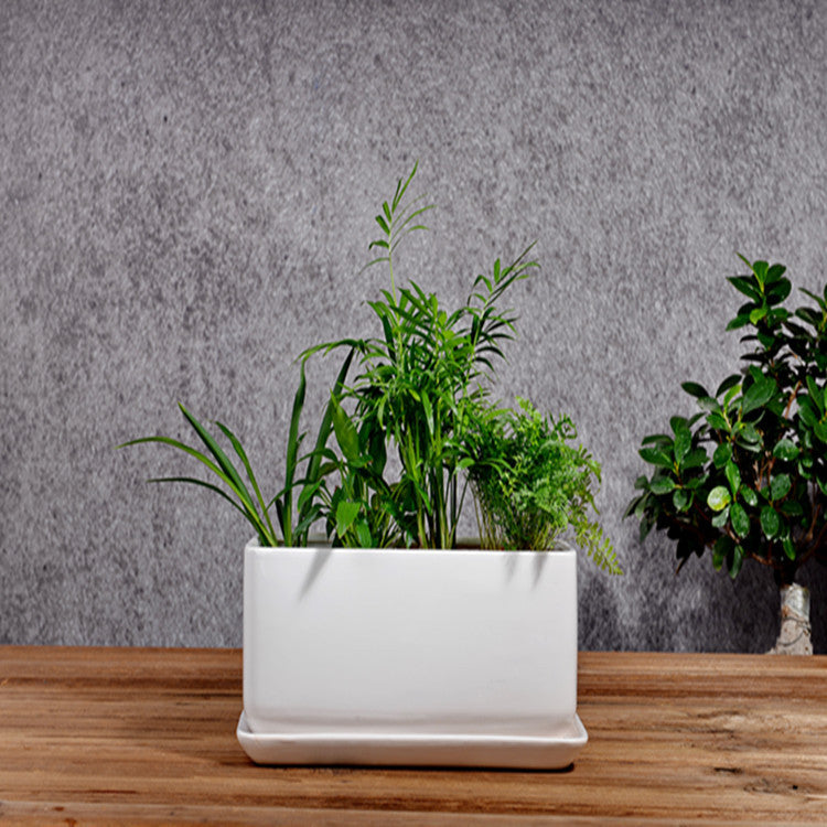 White Ceramic Planter 