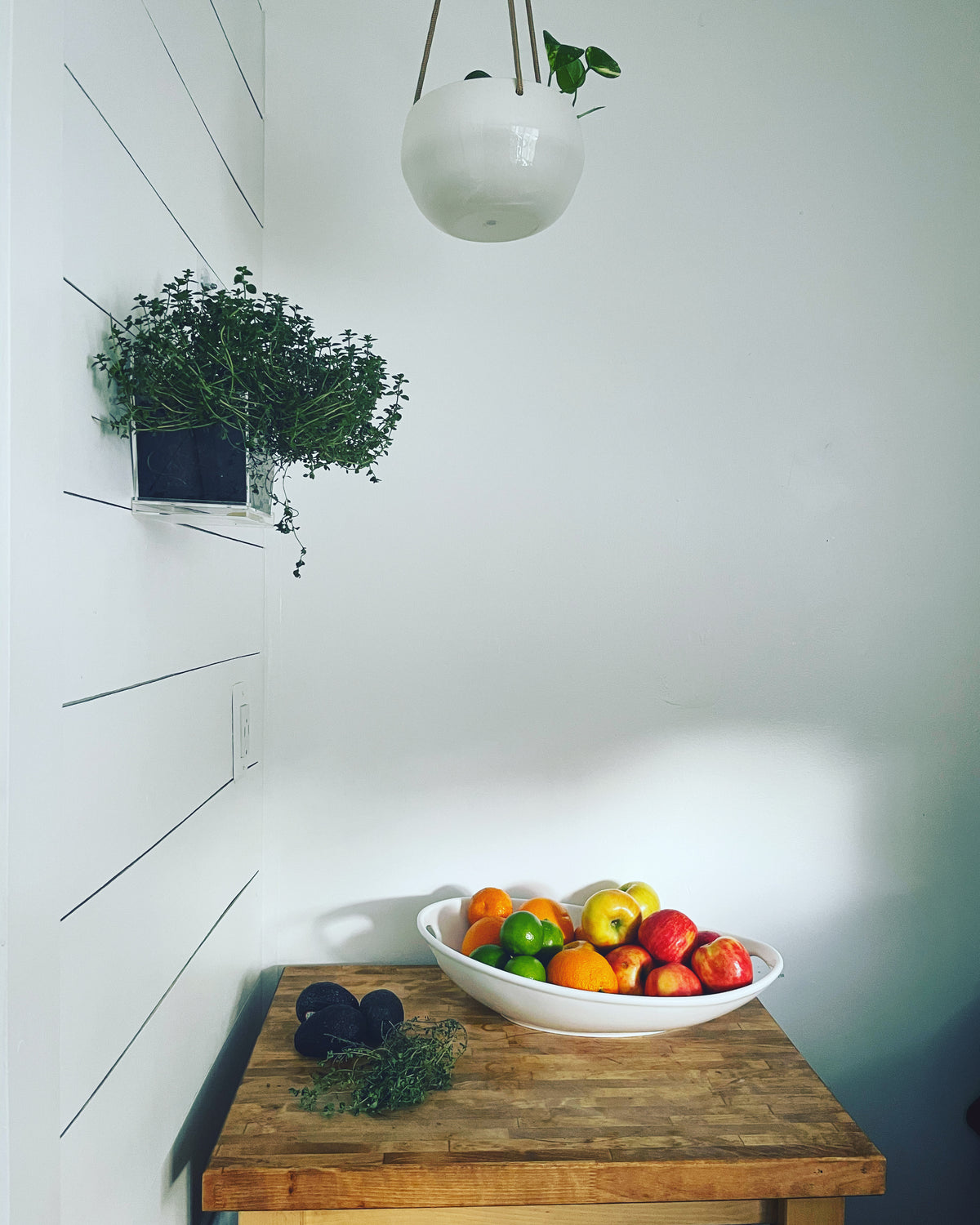 &quot;The Buddy System&quot; Clear Acrylic Window Planter