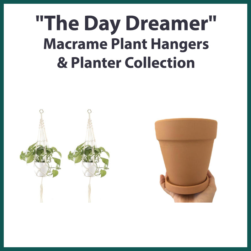 &quot;The Day Dreamer&quot; Macrame Plant Hangers &amp; Planter Collection