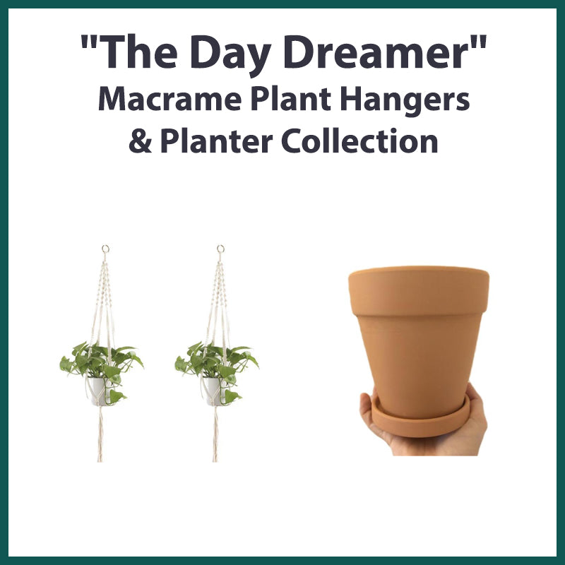 &quot;The Day Dreamer&quot; Macrame Plant Hangers &amp; Planter Collection