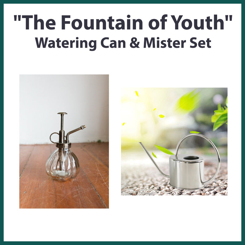 &quot;The Fountain of Youth&quot; Watering Can &amp; Mister Set
