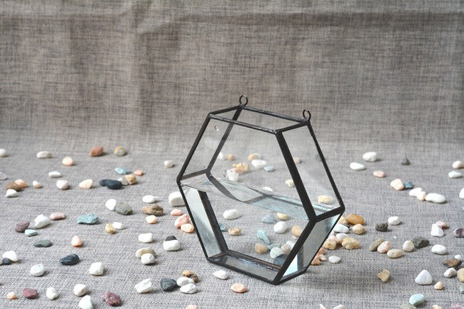 &quot;The Lilly Pad&quot; Hanging Glass Plant  Propagation Vessel &amp; Terrarium