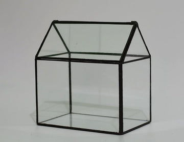 "The Glass House" Indoor Glass Terrarium