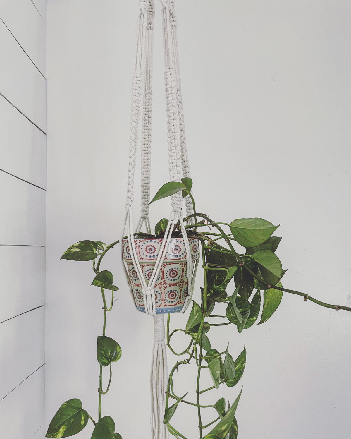 &quot;The Tree Hugger&quot; Handmade Macrame Hanging Plant Holders