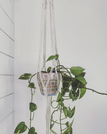 "The Tree Hugger" Handmade Macrame Hanging Plant Holders