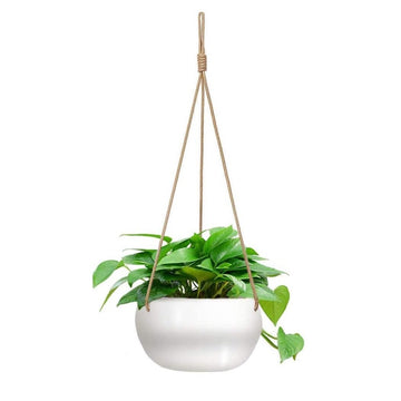 "The Basket Case" Hanging Porcelain Planter