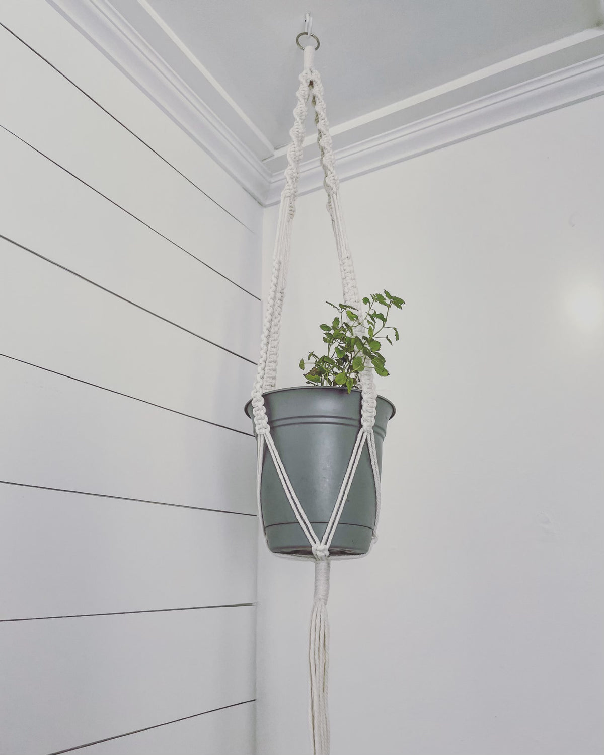 &quot;The Tree Hugger&quot; Handmade Macrame Hanging Plant Holders