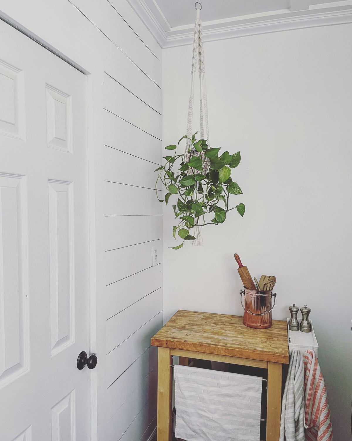 &quot;The Tree Hugger&quot; Handmade Macrame Hanging Plant Holders