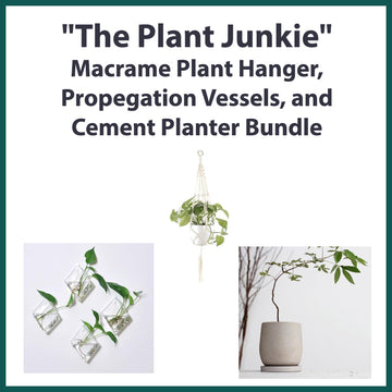 "The Plant Junkie" Macrame Plant Hanger, Propegation Vessels, and Cement Planter Bundle